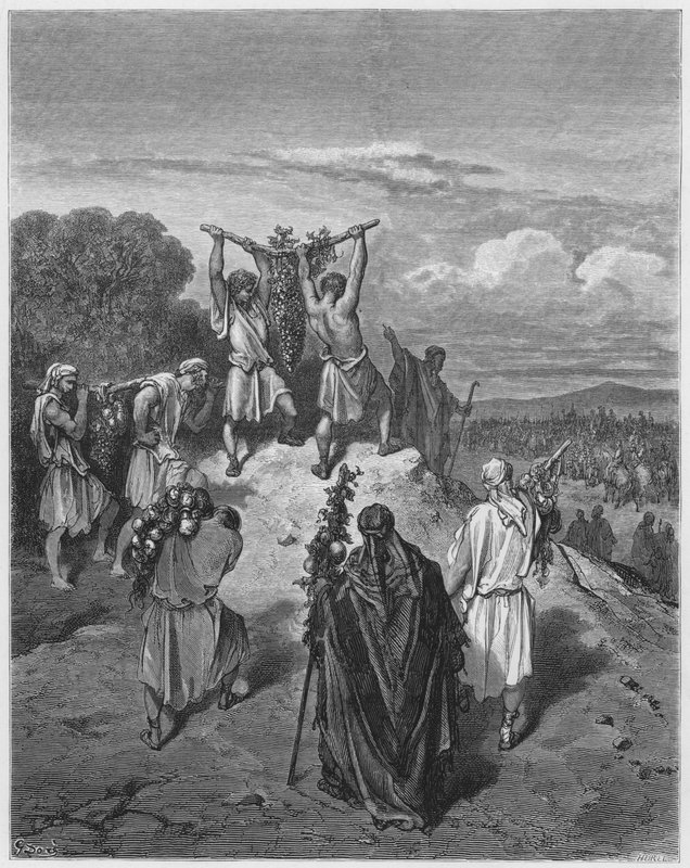Gustave Dore Bible: Return of the spies from the Land of Promise  by Gustave Dore