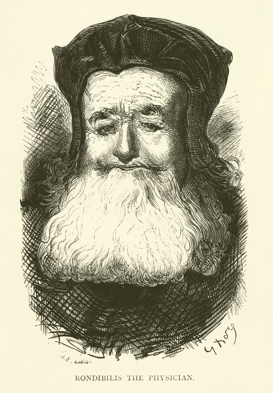 Illustration for the works of Rabelais  by Gustave after Dore