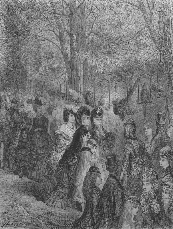 Jardin Zoologique, Les Oiseaux  by Gustave after Dore