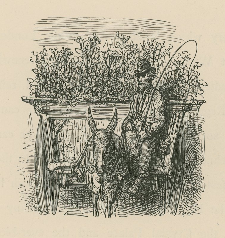 Bitkiler ve çiçeklerle dolu bir arabayı kullanan bir adam by Gustave Dore