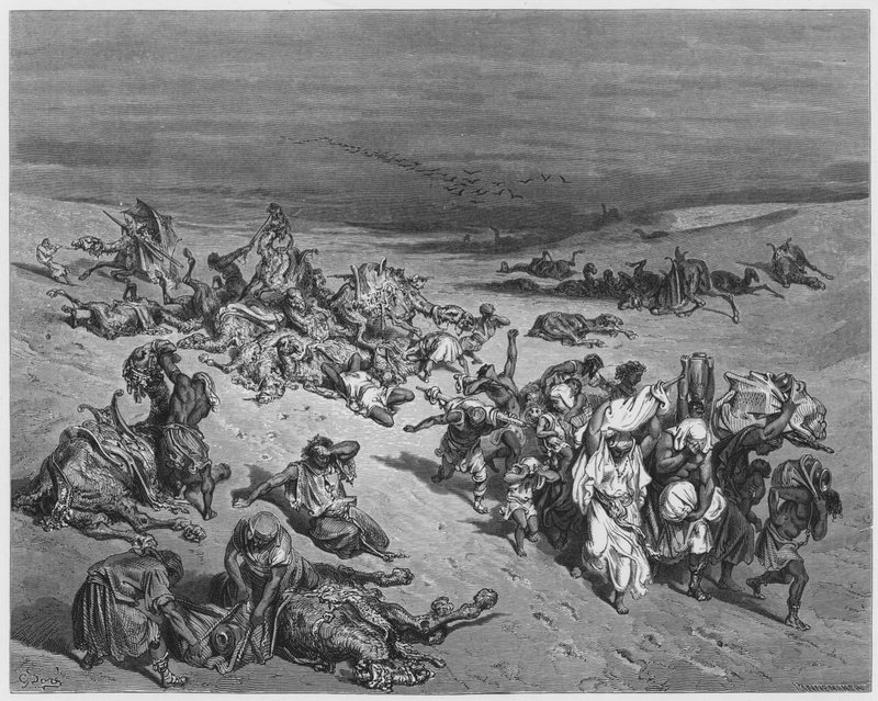 Gustave Dore İncil: Canavarların Murrain