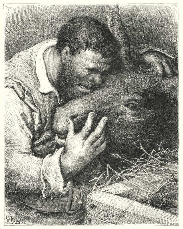 Gustave Dore'un Don Kişot'u: "'Buraya gel' dedi, 'dostum; sen sadık yoldaş ve seyahatlerimde ve sefaletlerimde ortaksın'" (gravür) by Gustave Dore