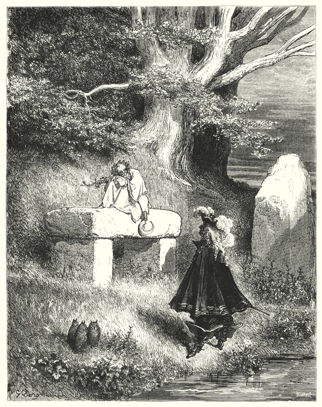 Peau-D"Ane; Eşek Derisi by Gustave Dore