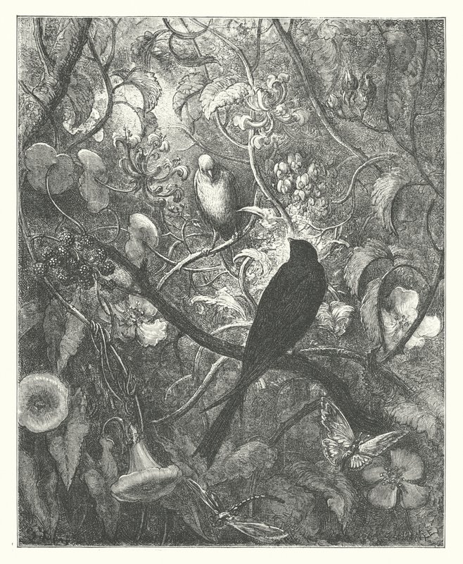  by Gustave Dore