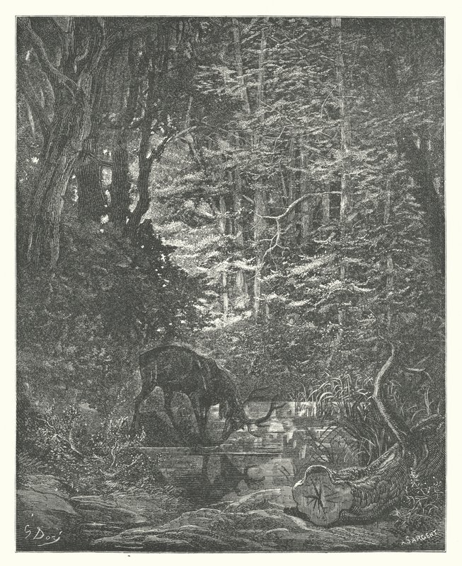  by Gustave Dore