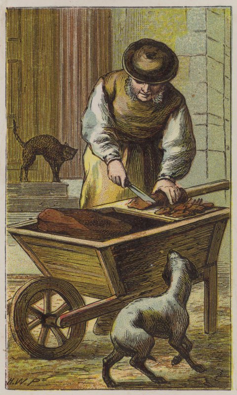 Kedinin Et Adamı (renkli taş) by H.W. (after) Petherick