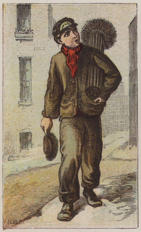 Baca Süpürgesi (renkli taş) by H.W. (after) Petherick