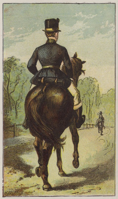 Damat (renkli taş) by H.W. (after) Petherick