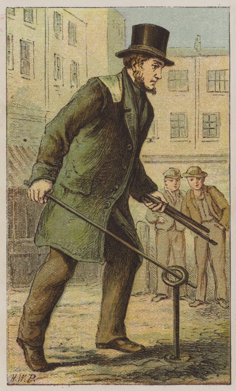 Turncock (renkli taş) by H.W. (after) Petherick