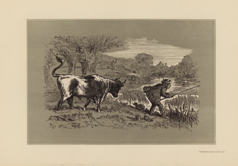  by Hablot Knight (1815 92) Browne