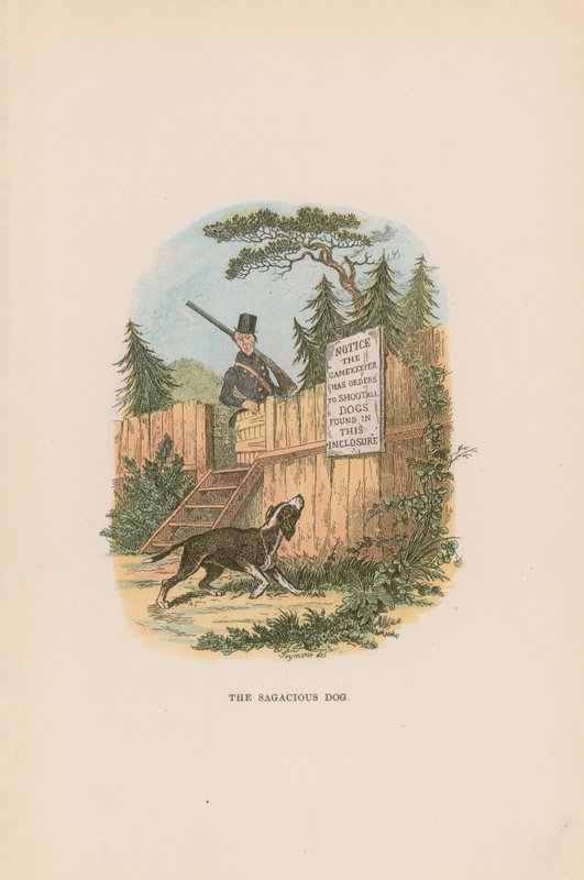 Pickwick Kağıtları için İllüstrasyon by Hablot Knight Browne