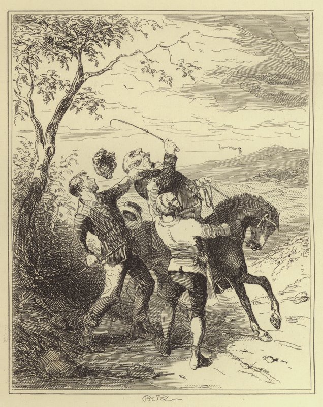 Jobling ve Armstrong, Bay Fairles