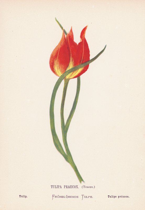  by Hannah Zeller