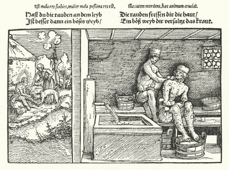 Uyuz (gravür) by Hans (after) Burgkmair