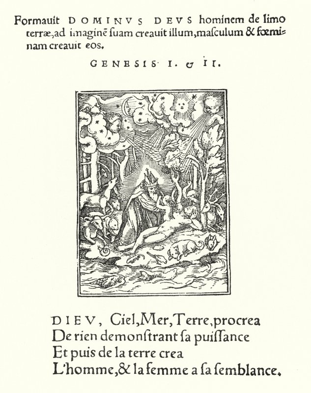 Yaratılış (gravür) by Hans (after) Holbein the Younger