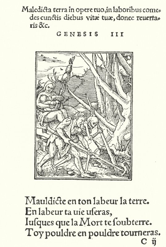 Yeryüzüne ve İnsana Lanet (gravür) by Hans (after) Holbein the Younger