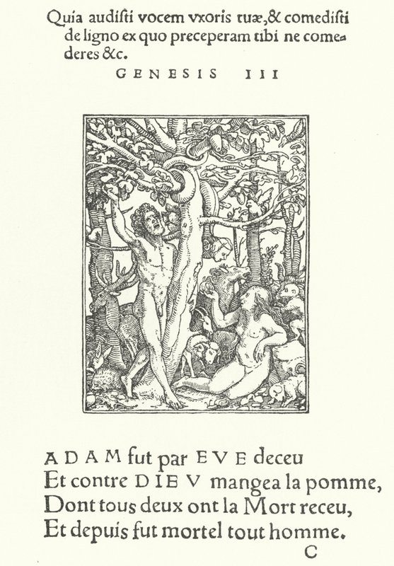 Günaha (gravür) by Hans (after) Holbein the Younger
