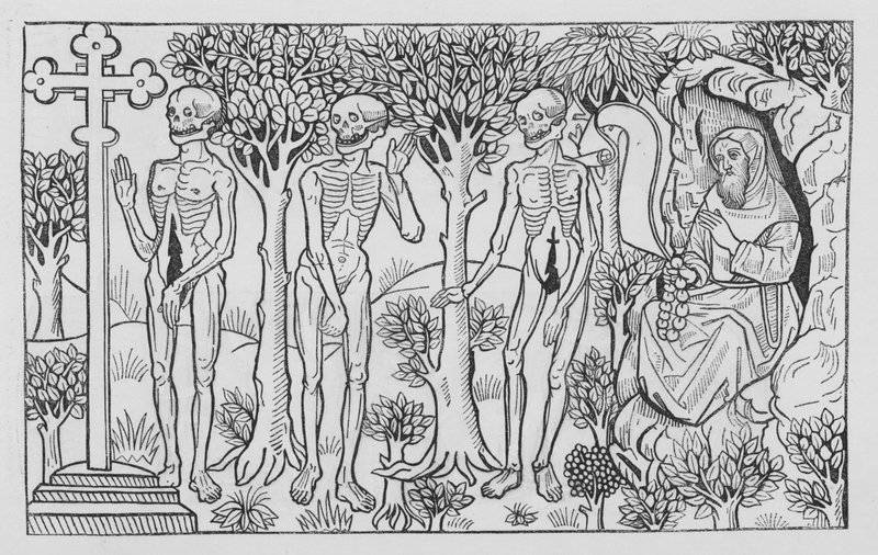 Holbein