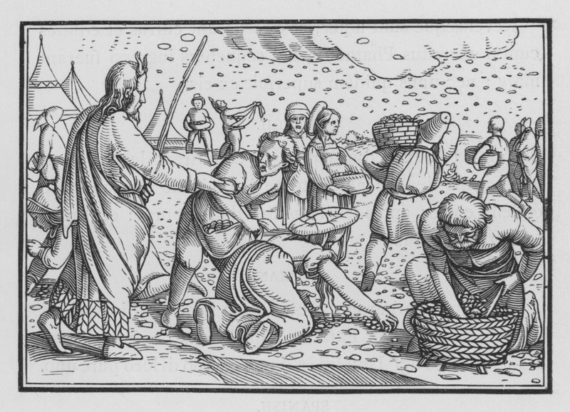 İsrailliler Ekmek Yokluğu İçin Mırıldanıyor, Çıkış XVI, 4 by Hans after Holbein the Younger