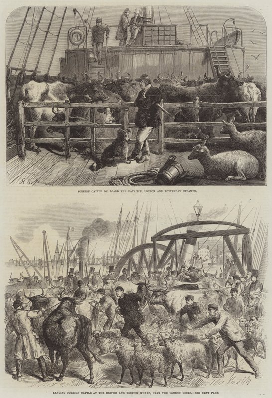 Nakliye Hayvancılık by Harden Sidney Melville