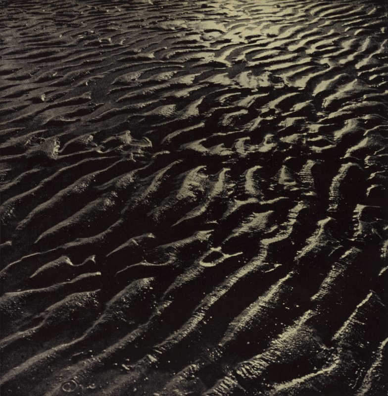 nervürlü deniz kumu, Coleridge (s/b fotoğraf) by Harold Burdekin