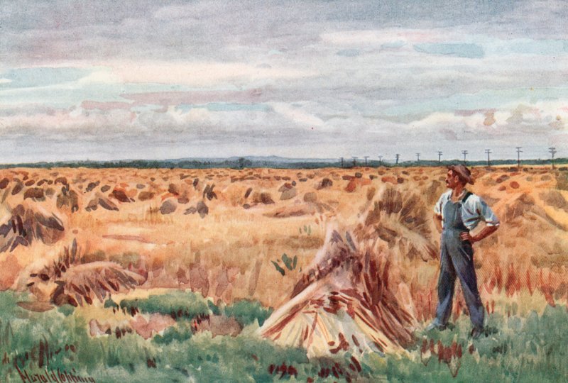 Along the Wheet Fields of Manitoba by Harold Copping