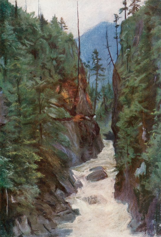 Kuzey Vancouver yakınlarındaki Capilano Kanyonu by Harold Copping