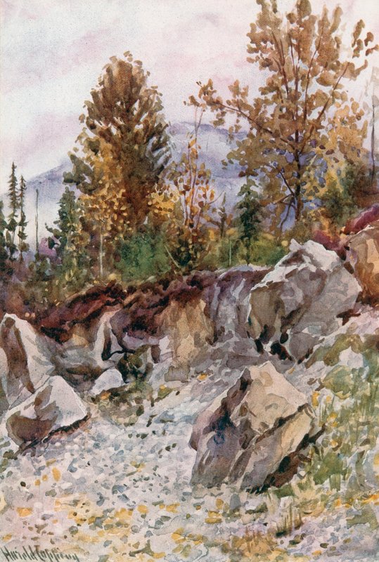 Revelstoke yakınlarındaki Taş Ocağı