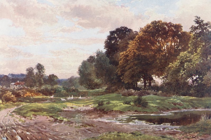  by Harold Sutton Palmer