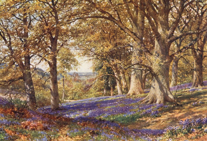  by Harold Sutton Palmer