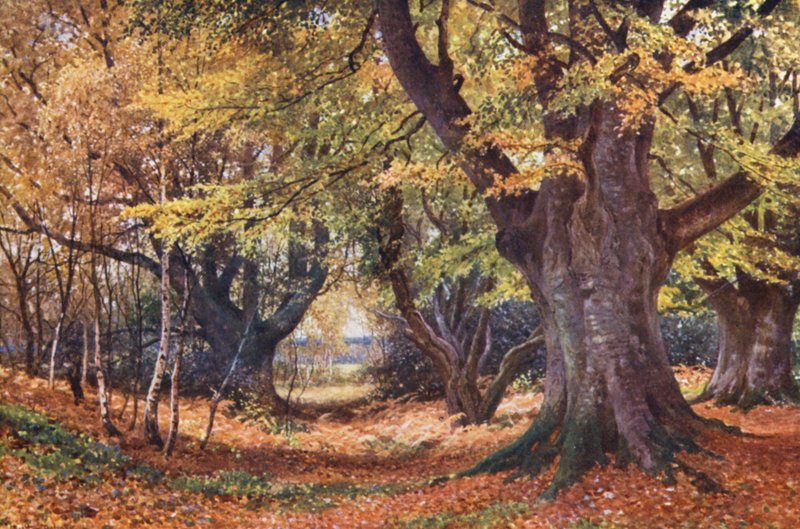  by Harold Sutton Palmer