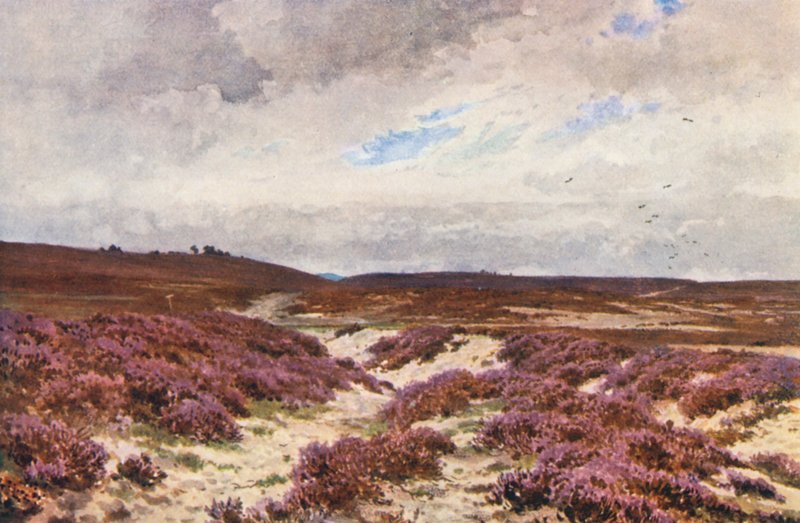  by Harold Sutton Palmer