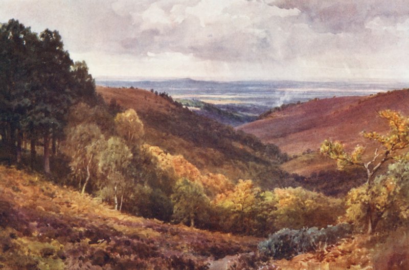  by Harold Sutton Palmer