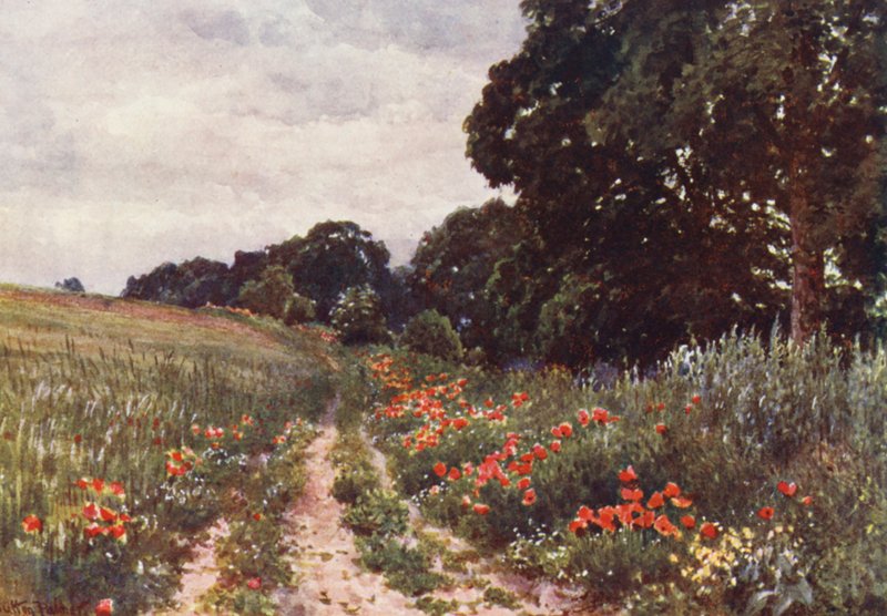  by Harold Sutton Palmer