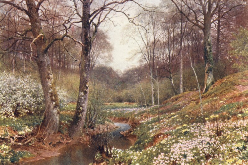  by Harold Sutton Palmer