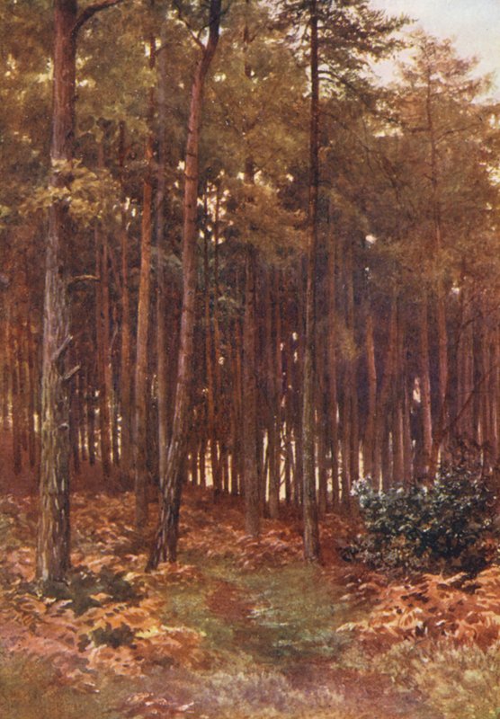  by Harold Sutton Palmer