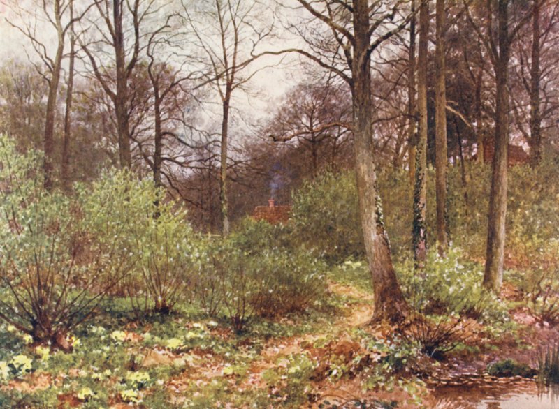  by Harold Sutton Palmer