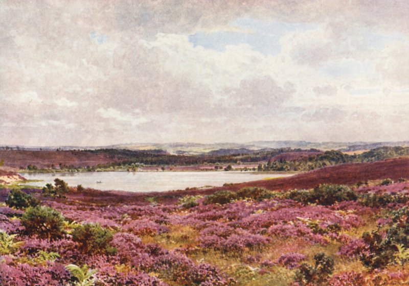  by Harold Sutton Palmer