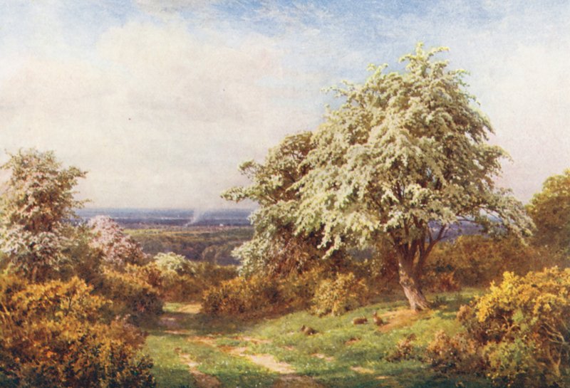  by Harold Sutton Palmer