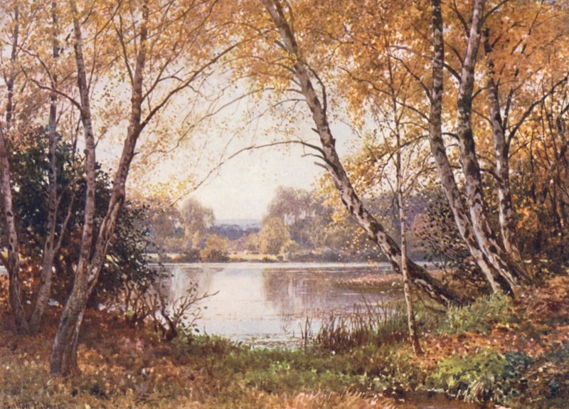  by Harold Sutton Palmer