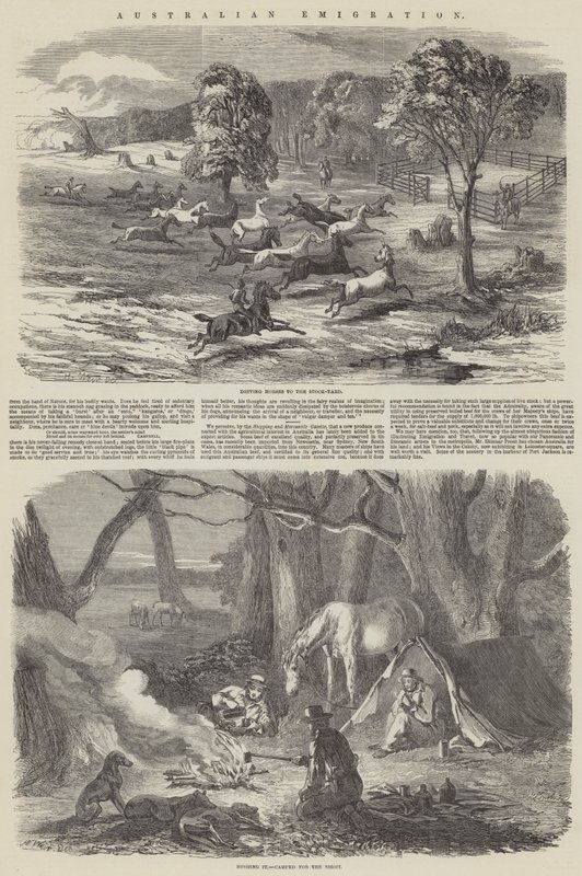 ಆಸ್ಟ್ರೇಲಿಯನ್ ಎಮಿಗ್ರೇಷನ್ ಟರ್ಕ್ by Harrison William Weir
