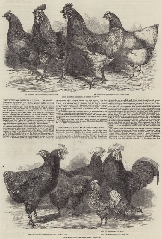 Til Klondyke og Back, vafning fyrir gulli á Yukon ánni by Harrison William Weir