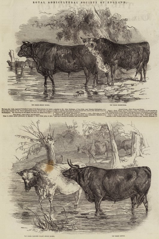 İngiltere Kraliyet Tarım Derneği by Harrison William Weir