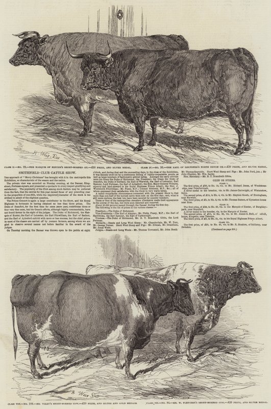 Smithfield Kulübü Sığır Gösterisi by Harrison William Weir