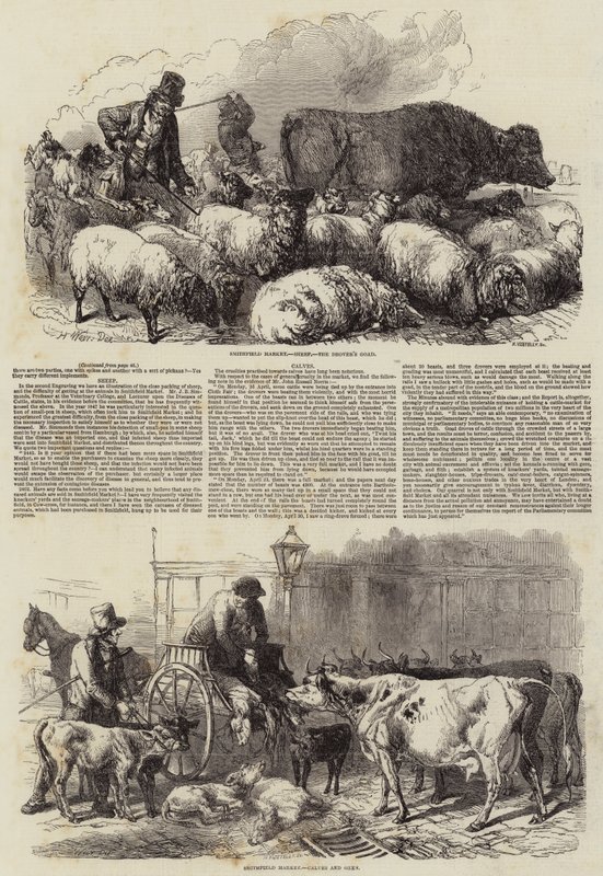 Smithfield Pazarı by Harrison William Weir
