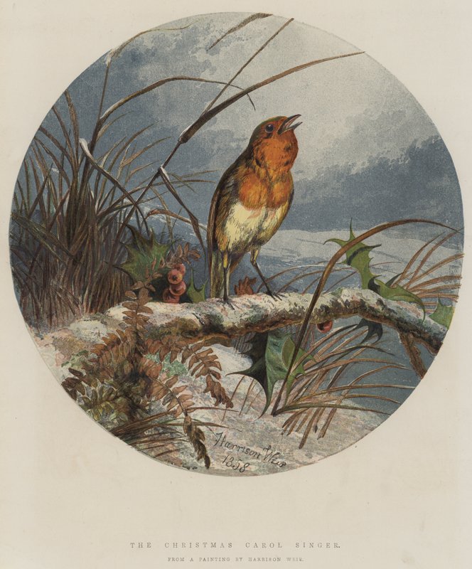 Noel Şarkıcısı (chromolitho) by Harrison William Weir