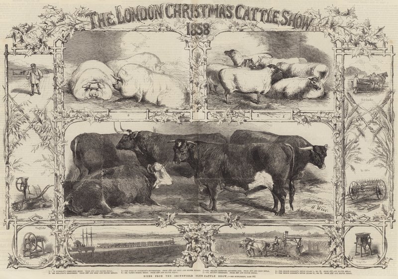 1858 Londra Noel Sığır Gösterisi by Harrison William Weir