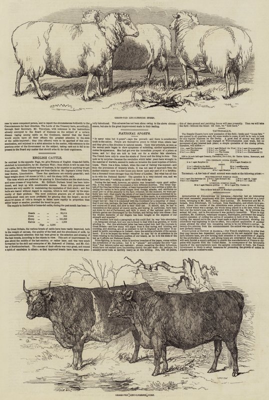 Smithfield Kulübü by Harrison William Weir