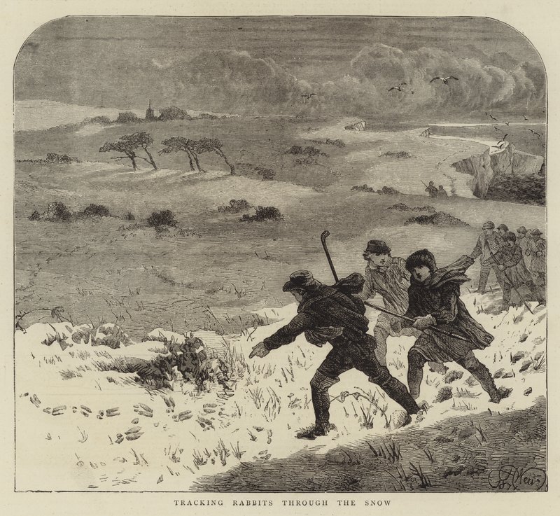 Karda Tavşanları İzlemek by Harrison William Weir