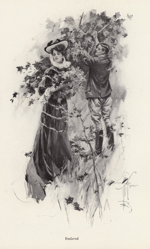 Bir erkek hayranıyla çiçek toplayan kadın (lito) by Harrison Fisher